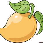mango drawing