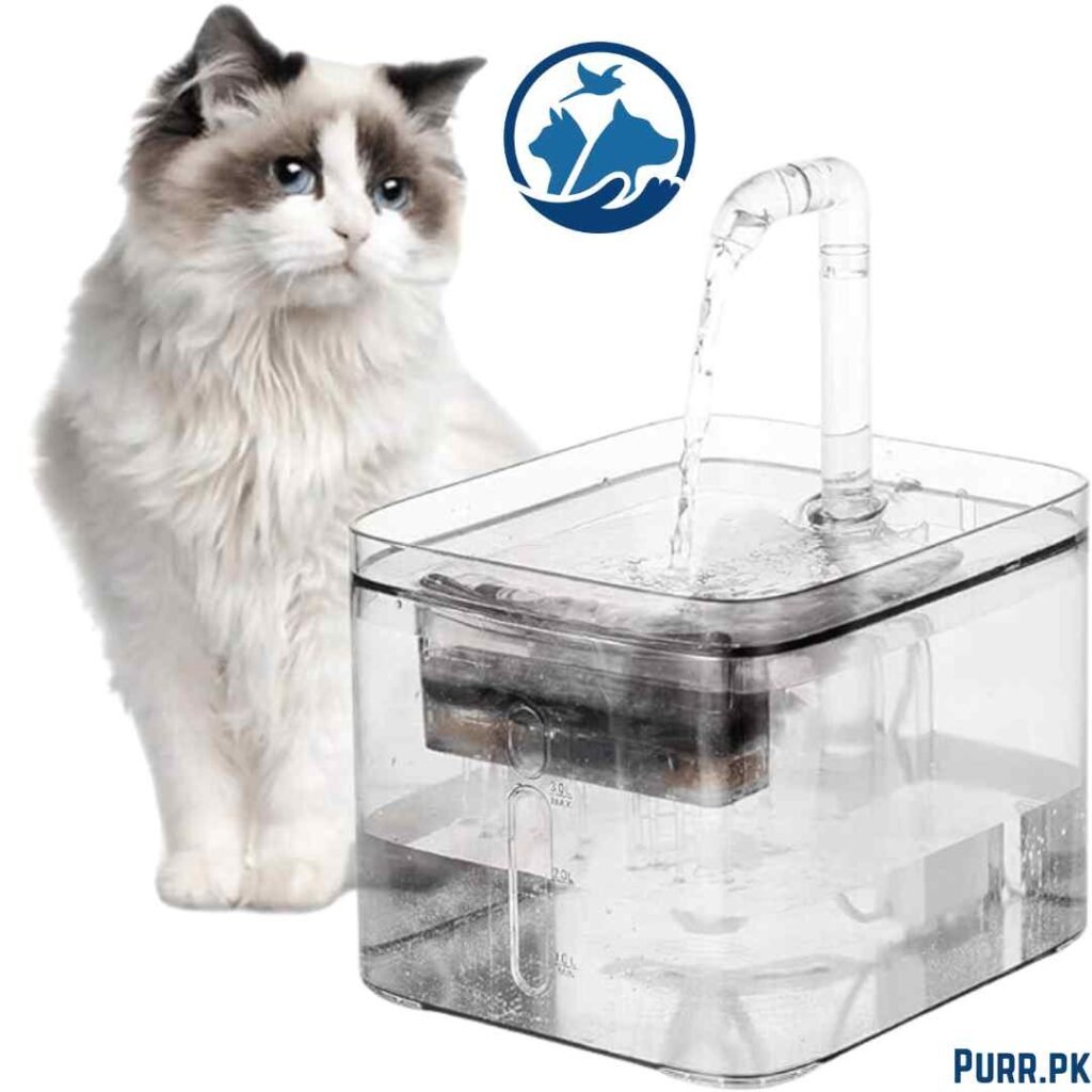 cat water fountain